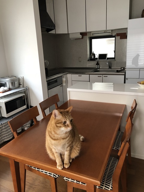 It6MtwZBRxqtNaWtUwID5A