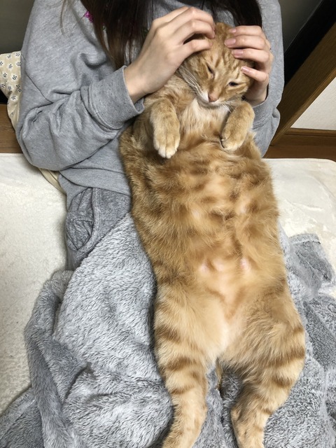 qVkpE2BLSdGX8lmqEeyEyw