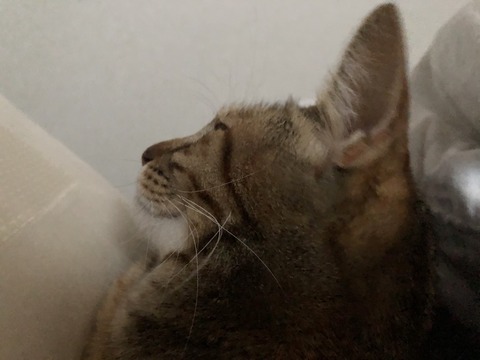 Oxft9giDTmeK5kj2L%ilkQ