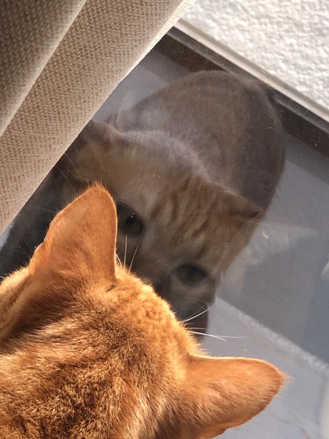 s1FQrkRcRqKxoNCTJb6jsQ