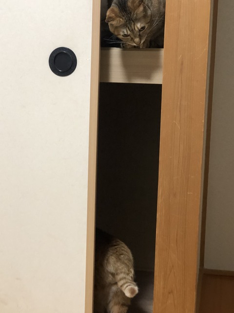 D615uTEOTWK+0ZD9Z9Jf4w