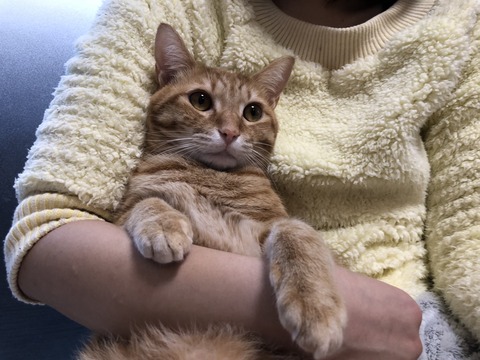 ISavqgedTA2Wk2C7hoKy6A