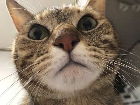 V3gfnFqiRWyFRRQ6QJZvAw