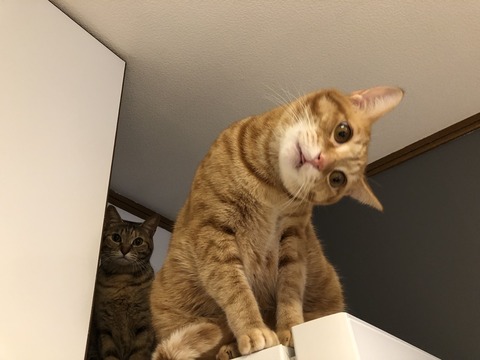 w0TldI7cTM6ON6FvyXe56A