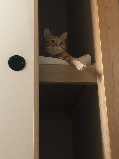 CPq%UBf8SfqDOpzXxdMBFg