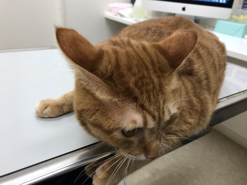 vWfOANeqQ%KFdwsEchrbhg