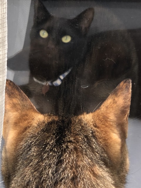 07Houn2QS4K9E%tvcYENOg