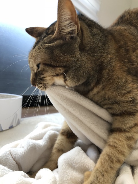 0X5qmYTzT++%FfQ9a6gAEw