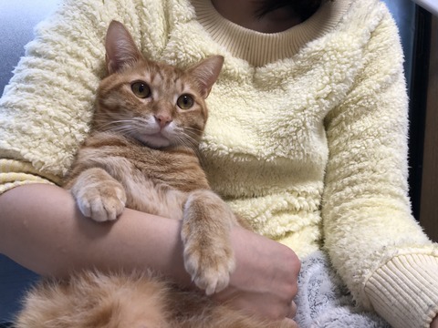 gnEvz3cGTYGKwcnqkq+Pcg