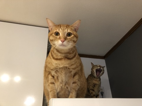 5M%KFzNjSAG0YyTp7h0ZLg