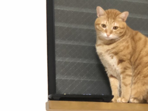 B%zsggRZTMSm8TBOgKk2Fg