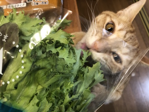 BLiAhYhVQoqY9n3rezGgxA