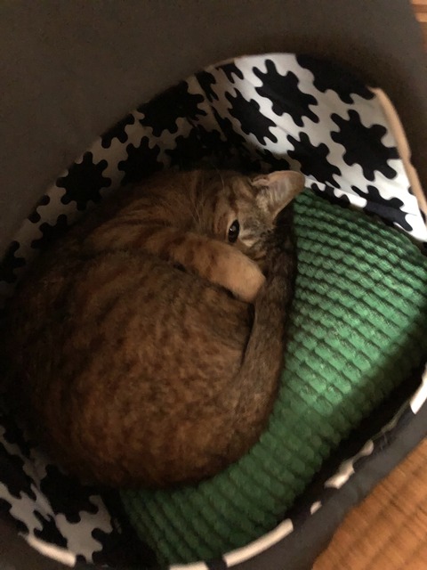 D7k7rC6OT+aSsHDFeQThuQ