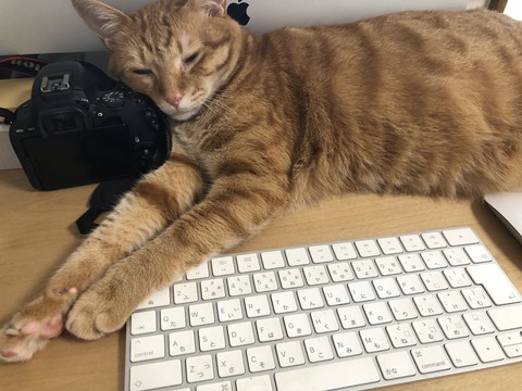 +9Dj+4K7S9iGkwO3Hmlg5w