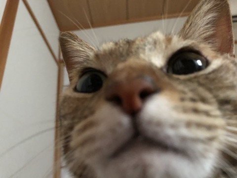 DN55kweEQxOXo3cqhlJYiA