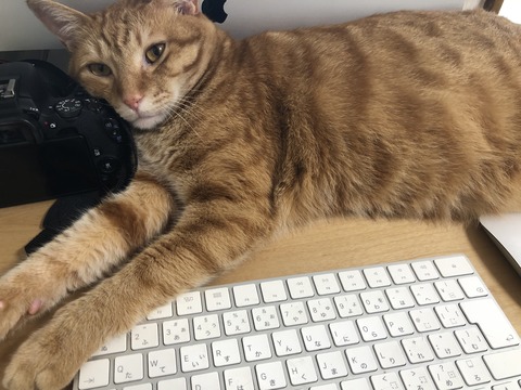 xCJHEW+FToawofiE+wo41w