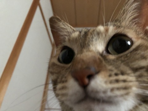 AM2kpoHJTjG7IUMH2emMcQ