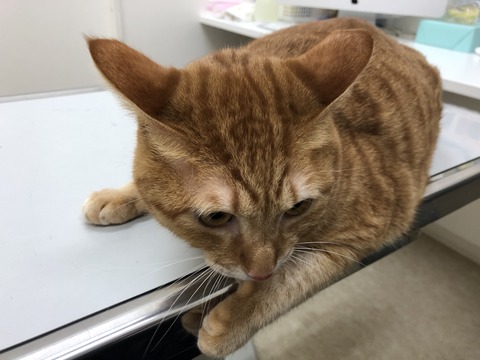 Lb4rKzOVRSOTiMsqhfsBbA