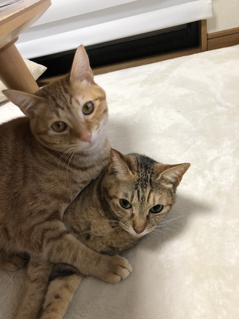 R87qahEKQkSA00Y0w9YfcA