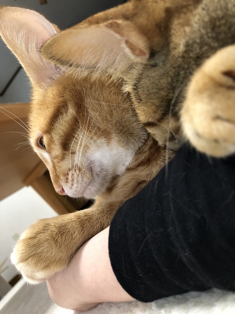 i9FvIRnOQaOqHUcKCRuNkg