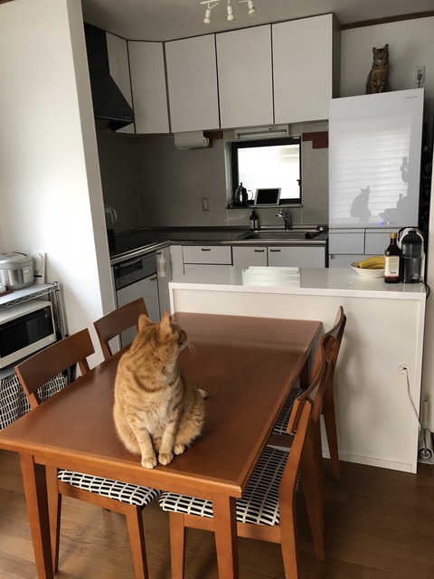 cIVRYTMZTme%8CEWfxE3wg