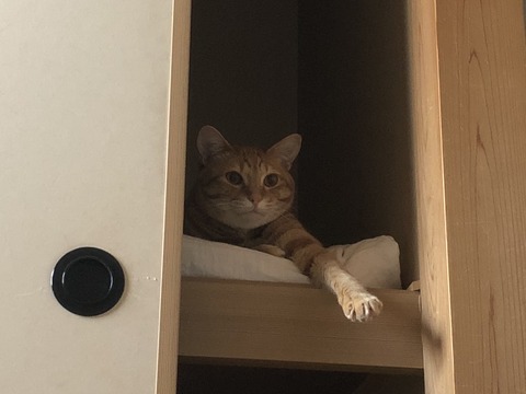 KsrxxrUVTSK03nxVgLYtfw