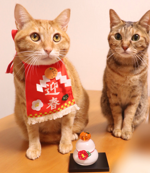 E8E66C3F-3F83-49E8-9DDB-73B6F0E0B281