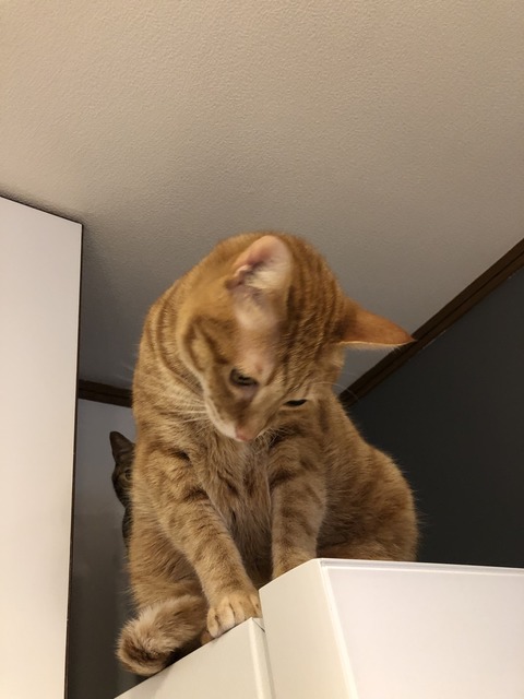 LEbmWQu1Su2w6OZ8a5gVwg