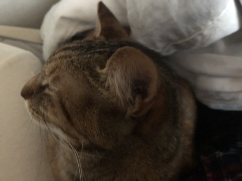 fxHa23sWRbKgPxcHz%Mxtg