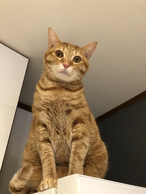 Zr9hjdRCQ8G4Z3+AyWwFWQ