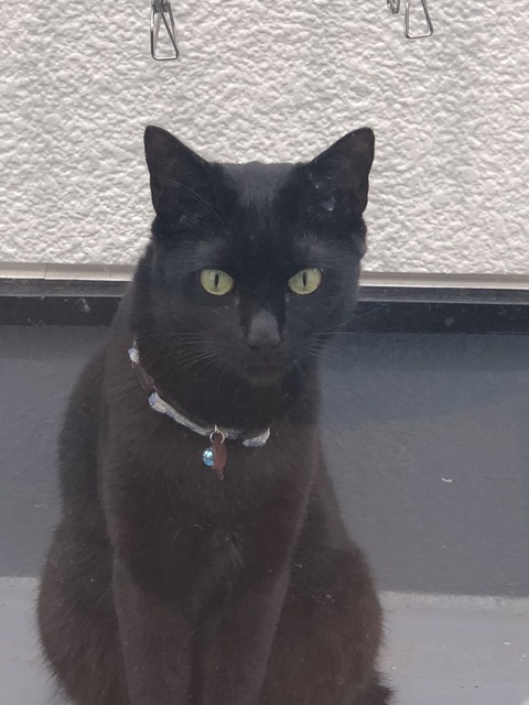 eo5l9EhXR+6ePKlNTC7u3w