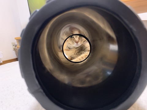 6nVkY%WkT+StpEhOXu2AIQ