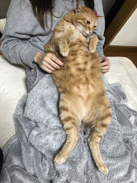 igN+MP5xS%2nxxs1+f%UsQ