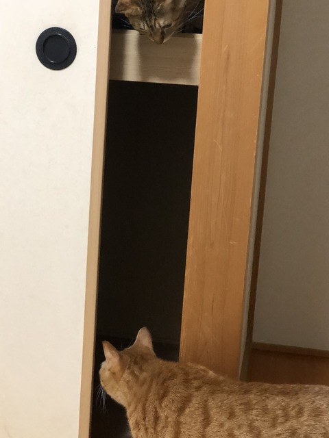 lwaynQTjRbaKX0BuSAbfEQ