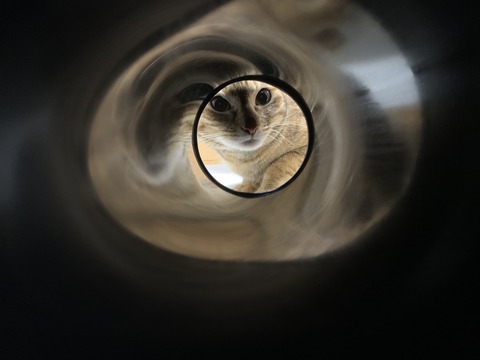 wREHYpDQQwO7DawrM4YndA