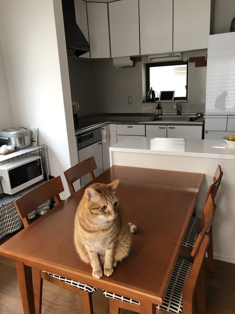 %RpWzyTlTdGBniQVEQKAwA