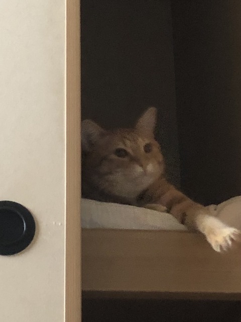 lOEjiZ2LSliwmTxgWXL8Kw