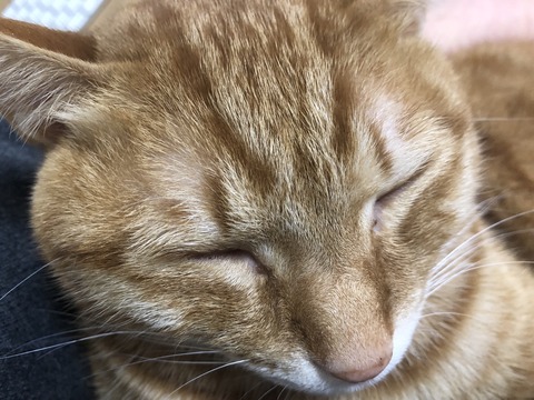 59BF9755-63C2-401C-8038-69FBE3BEE03E