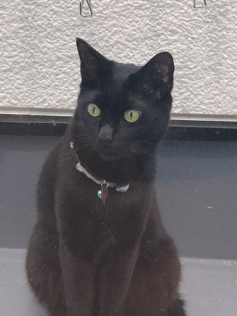 9Kn4qDWnSSqfsOz9ApHe8g