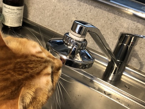 bL7z7WGKQG2R1aJ7hWdIJA