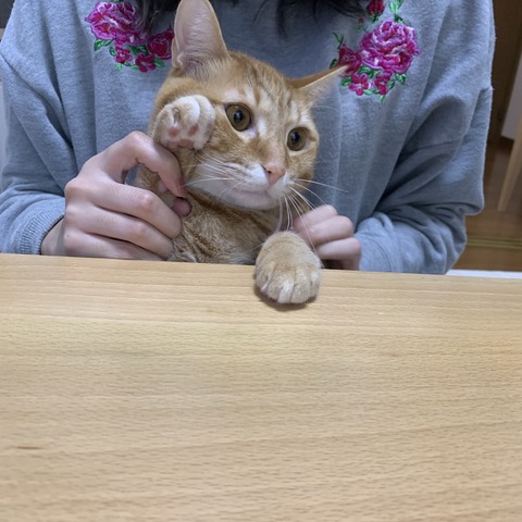 10OgNpDxSN6D3qTdmjRoIw