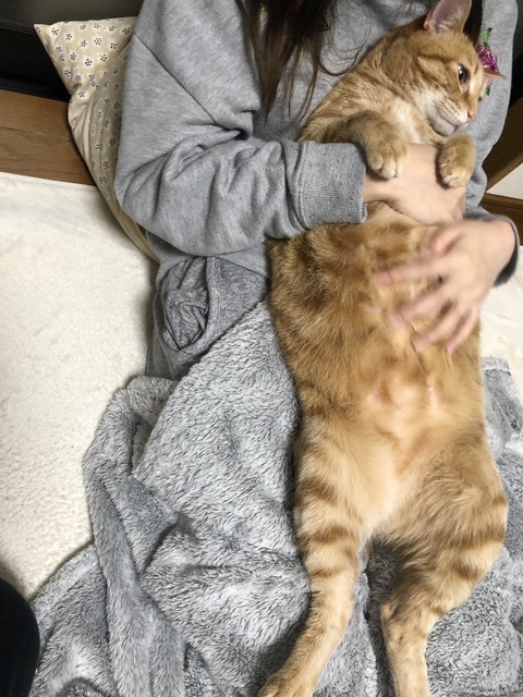 A4cvpgbyTSu5C5+mRmYECg