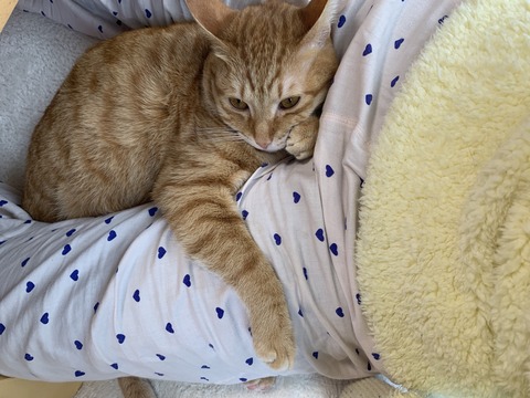 MClJb+xXQz65ceV6UBNVuw