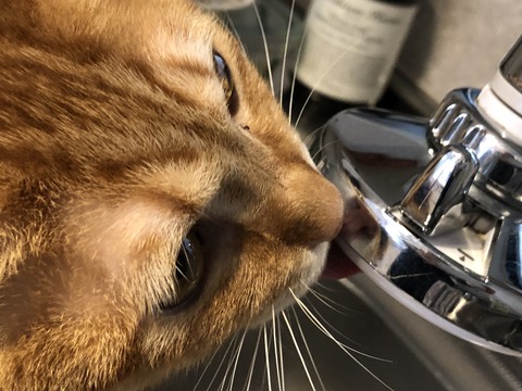 ckq1JQvnSJe0eJ3jCakV+w