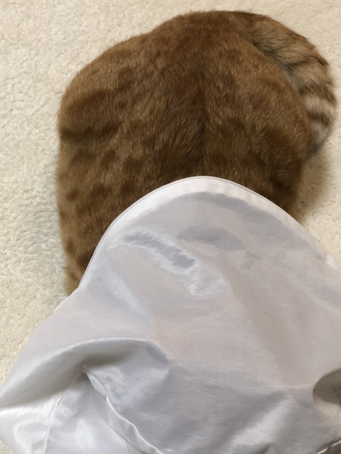 9K6ITly1RxKnh+x8TGuC1g