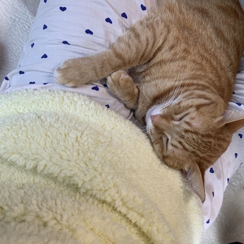 vAWYQO1YSa6KGECv7XFifg