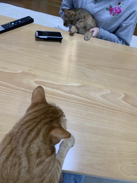 dswC+07tRx27u62cE8YH5w