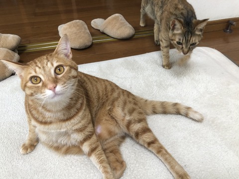 303TOCtjSFmF+emt%lYMrA