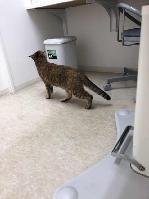 y%OJAwwERg2DxMXMsbzXtQ