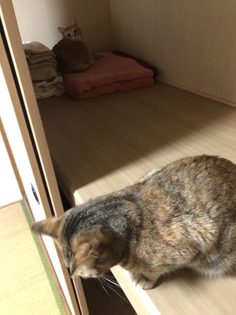 FdbCNP%hQFqa9jL6OHFWuw